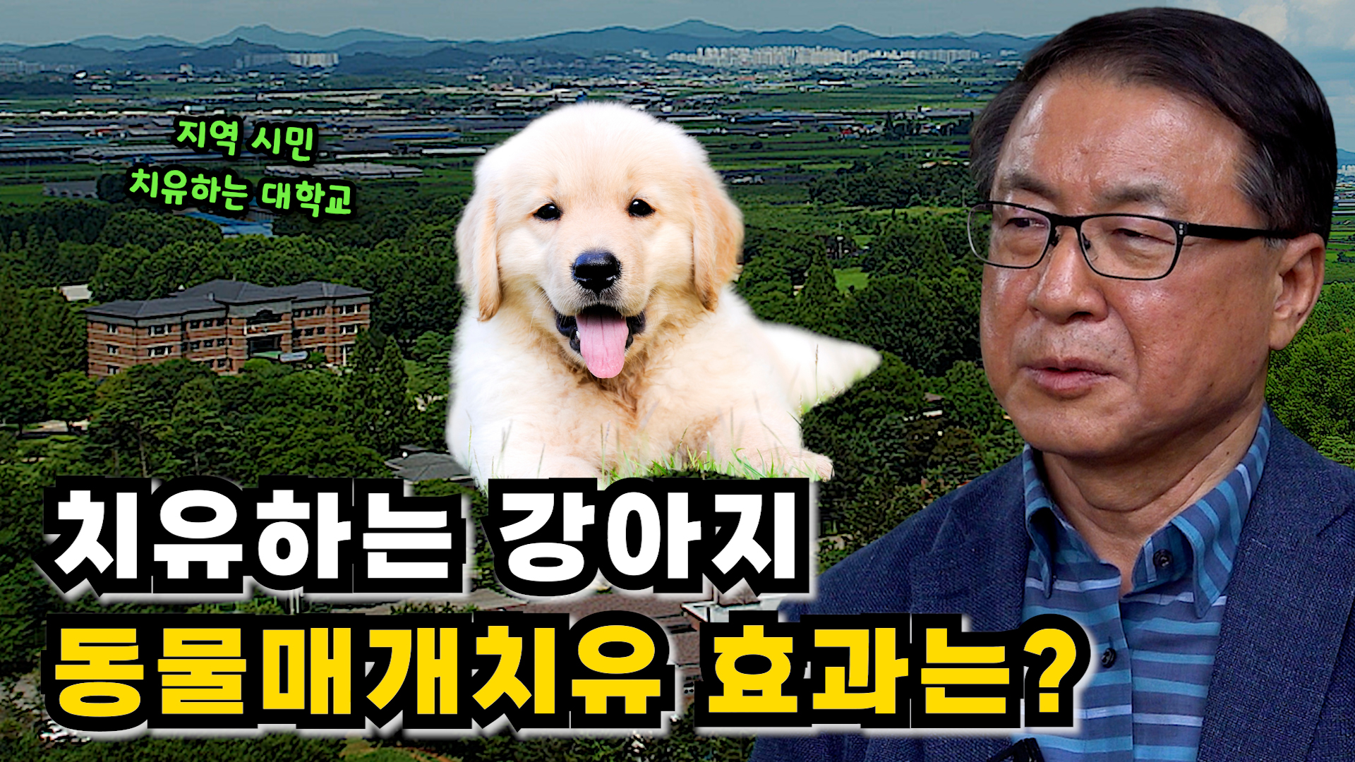 치유하는 강아지. 동물매개치유 효과는?